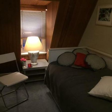 Gezellige Zolder In Wassenaar Met Dakterras 外观 照片